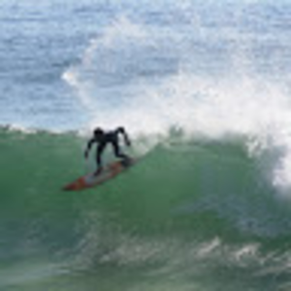 Meet your Posher, Gary